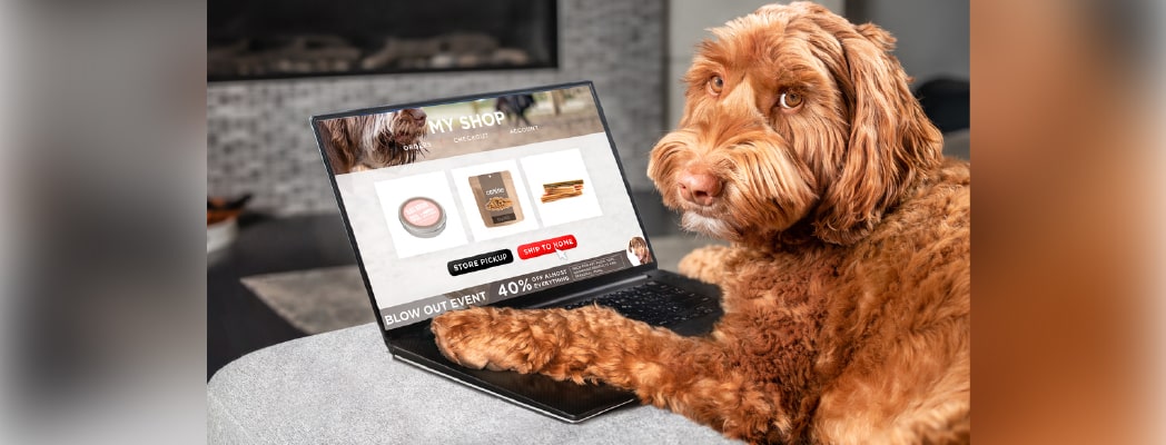 Getting-to-know-the-design-of-the-Pet-Shop-website-Ariyoweb