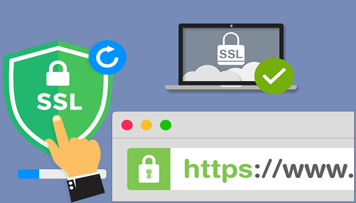 اهمیت گواهینامه SSL-آریووب