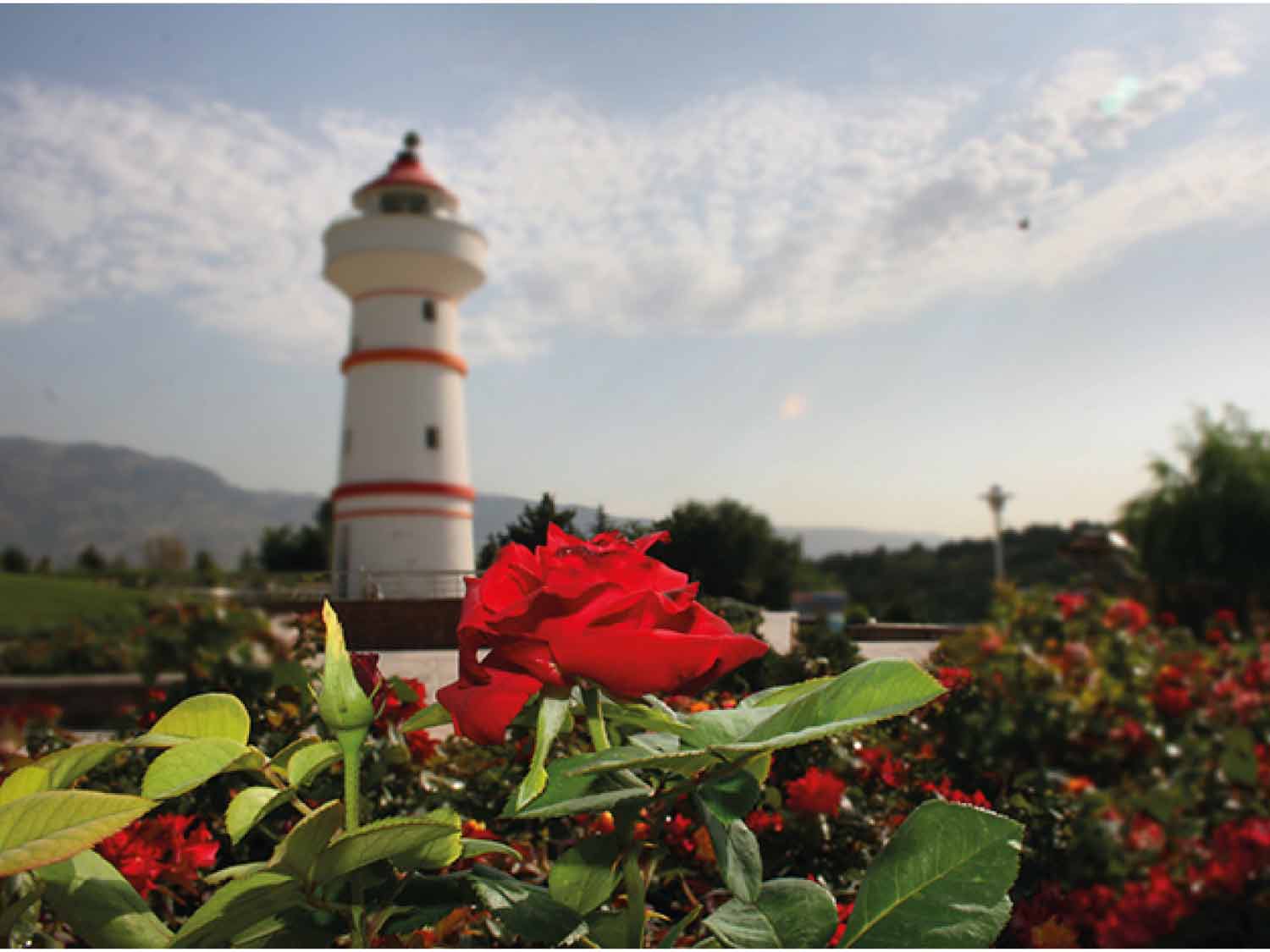 وب سایت اراضی عباس آباد